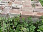 Lot de briques et blocs									