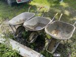 Lot de 3 brouettes 															