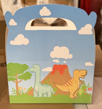 Lot de petites boîtes Dinosaure