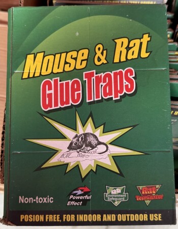 Lot d'attrapes-souris